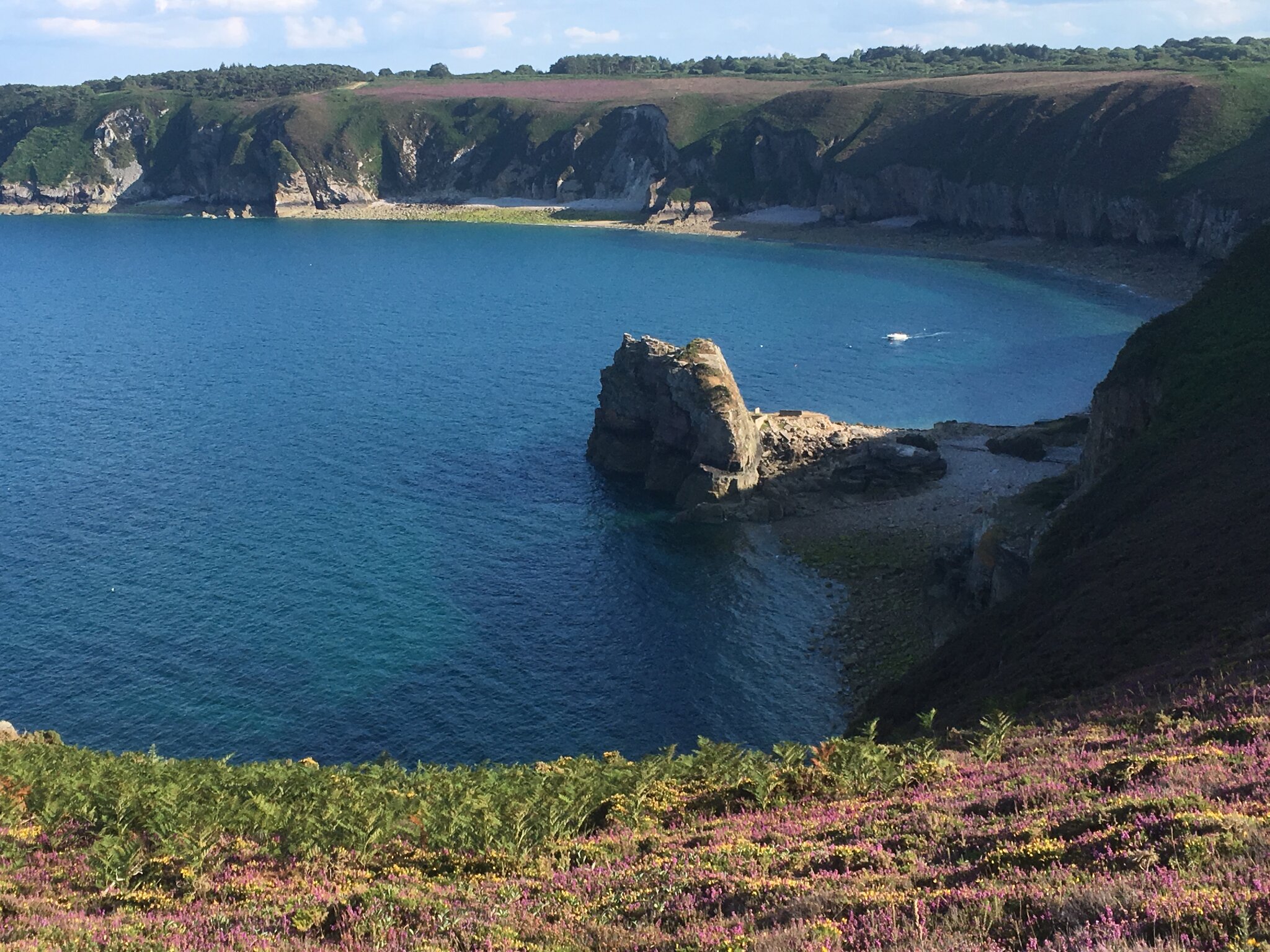 Cap Fréhel - Falaises et landes de la Côte d'Émeraude en Côtes-d'Armor, Bretagne