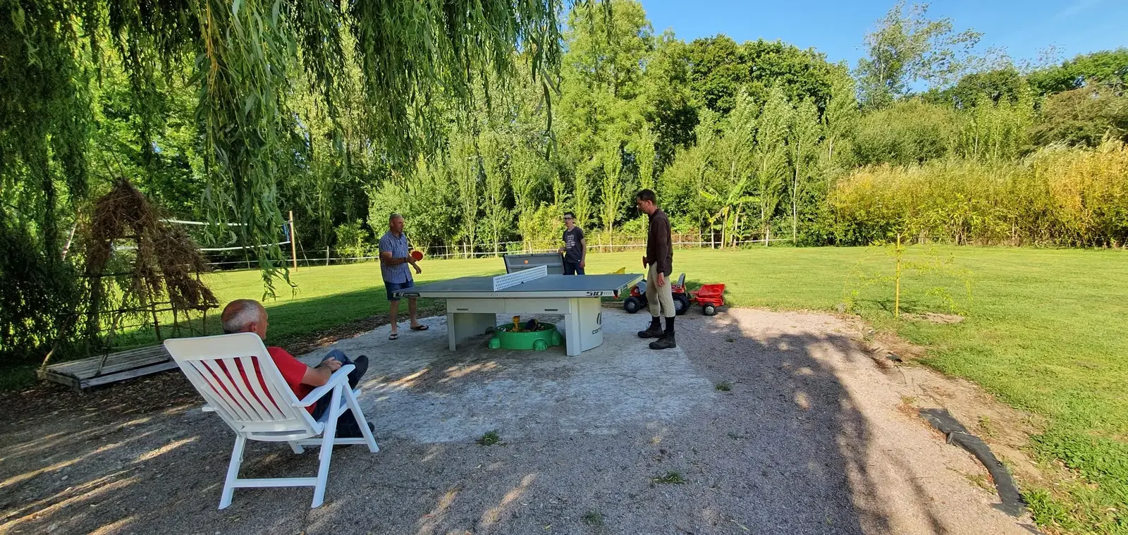 Espace détente sous les saules pleureurs du parc du gîte