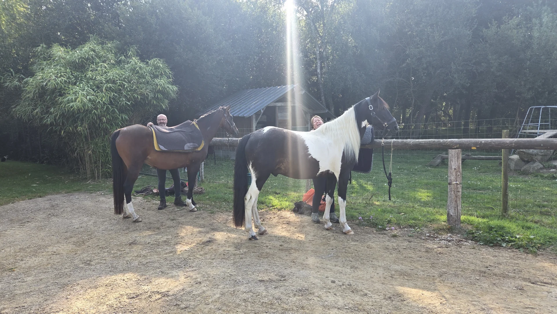 Vue d'ensemble paddocks et boxes pour chevaux - Domaine de l'Entre-Deux Plévenon Bretagne
