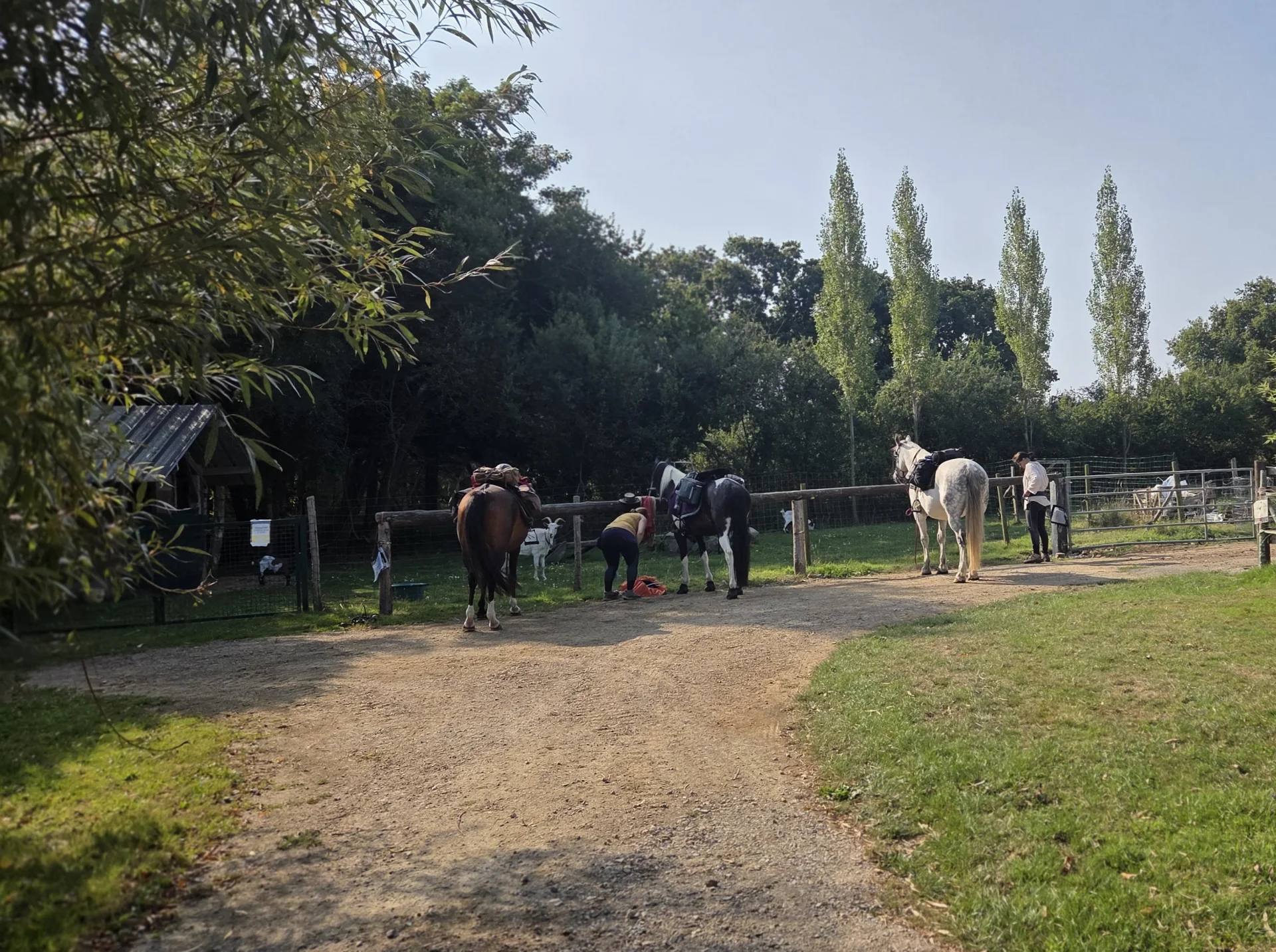 Boxes individuels pour hébergement équestre - Domaine de l'Entre-Deux Plévenon Bretagne