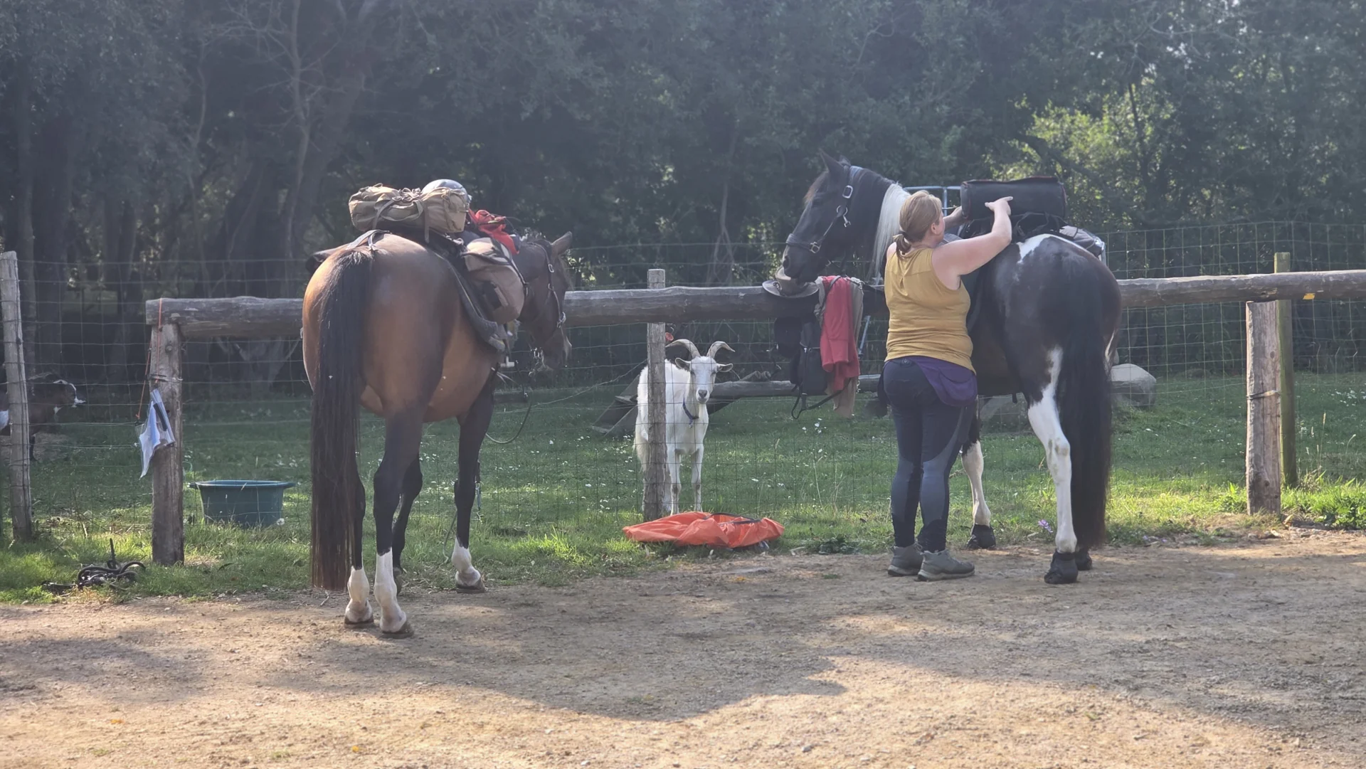 Installation équestre Domaine Entre-Deux - Domaine de l'Entre-Deux Plévenon Bretagne