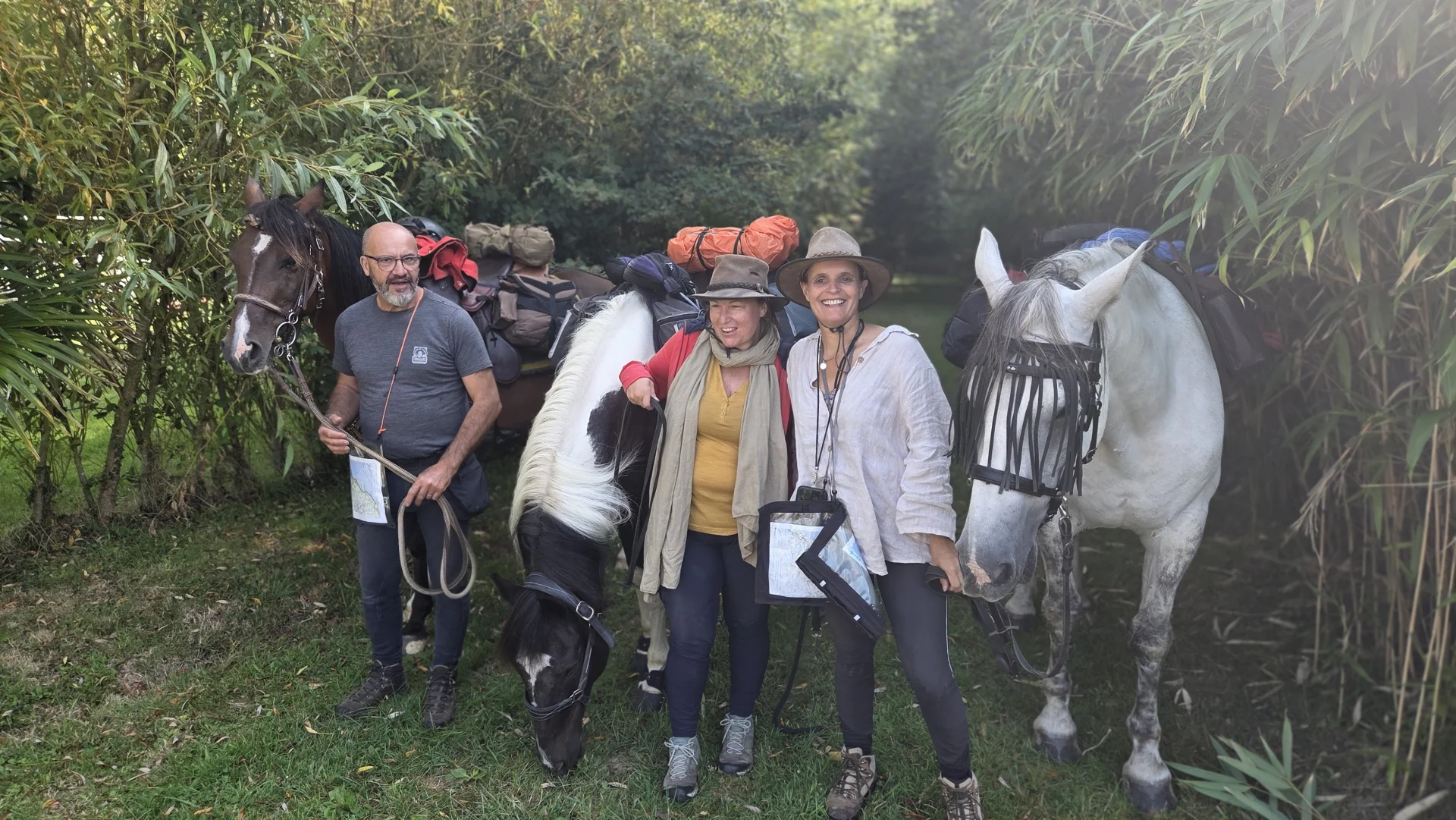 Paddock herbe chevaux Bretagne - Domaine de l'Entre-Deux Plévenon Bretagne